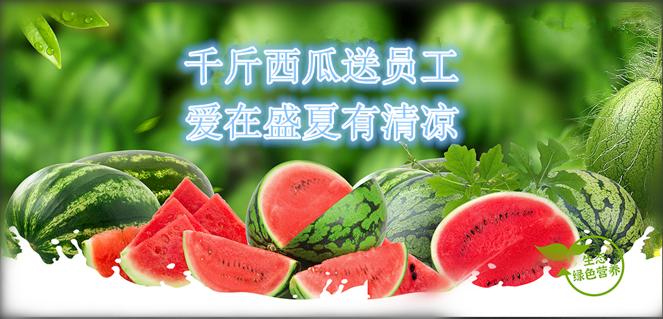 通達(dá)軟件公司： 千斤西瓜送員工，愛在盛夏有清涼